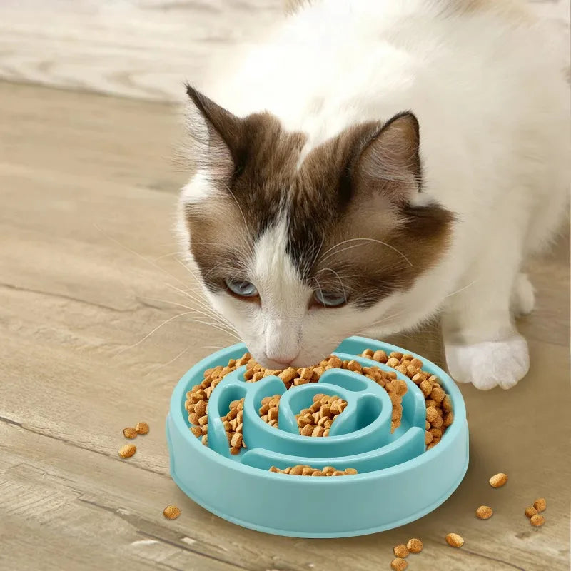 Slow Feeding Pet Food Bowl
