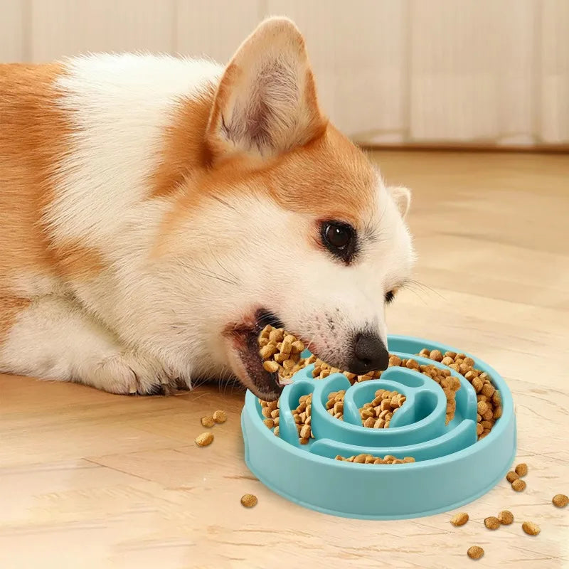 Slow Feeding Pet Food Bowl